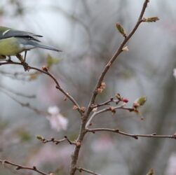 Новини України - Вихідні в Україні будуть теплими, місцями дощі