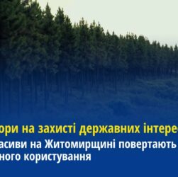 Лісові масиви на Житомирщині повертають із незаконного користування