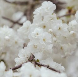 Новини культури - Гороскоп для знаків зодіаку на 25 квітня 2025 року