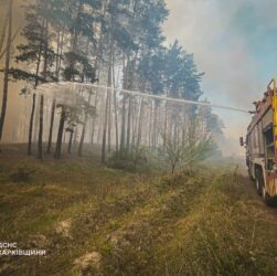 Новини України - На Харківщині триває ліквідація лісової пожежі