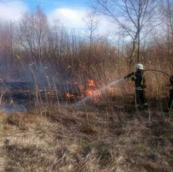 Новини України - На Київщині двоє людей загинули через спалювання сухої трави
