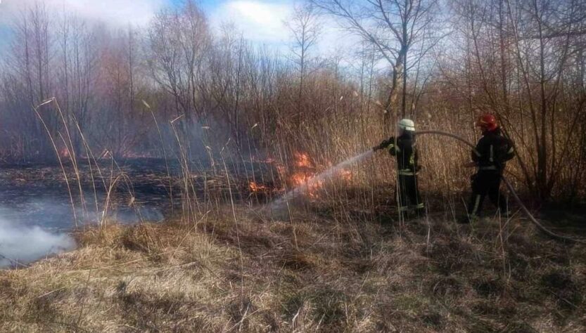 Новини України - На Київщині двоє людей загинули через спалювання сухої трави