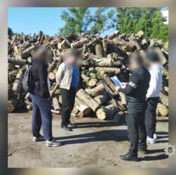 Учасники злочинної організації отримали підозри за розтрату 90 млн під час закупівлі дров для ЗСУ