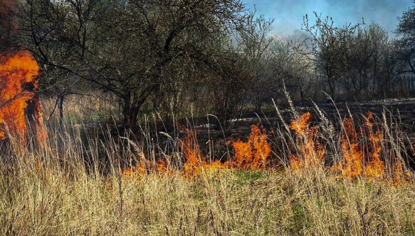 Новини України - Пожежа сухостою на Львівщині: згоріло 11 дачних будинків