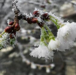 Новини України - Сонячні дні і нічні заморозки: прогноз на кінець квітня