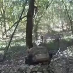 Новини світу - ССО знищили на Курщині "акторів" фейкового відео