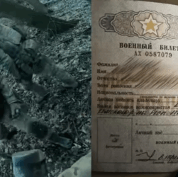 Новини України - ССО знищили взвод корейців на Курщині