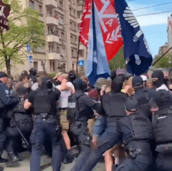 Новини Києва - Сутичка у Києві під час ЛГБТ фестивалю: поліція розповіла деталі