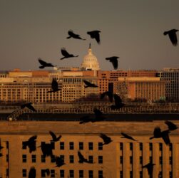 Новини світу - Топрадника Геґсета підозрюють у зливі інформації - ЗМІ