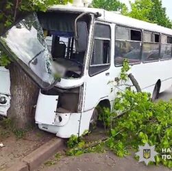 Новини України - У Полтаві автобус врізався в дерево: серед постраждалих - дитина