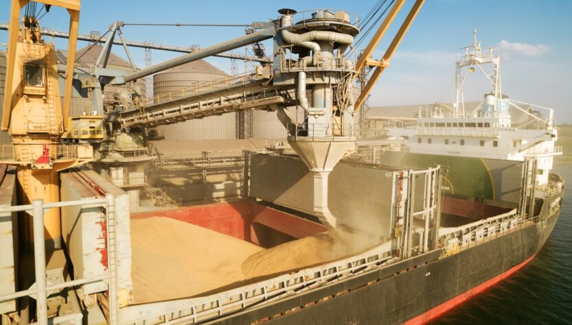 Новини бізнесу - Україна скоротила експорт зерна