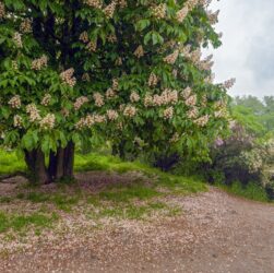 Новини України - Україну накриють нічні заморозки