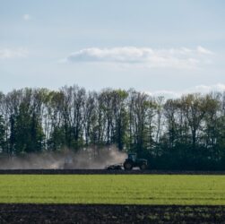 Новини бізнесу - В Україні стартувала сівба гречки