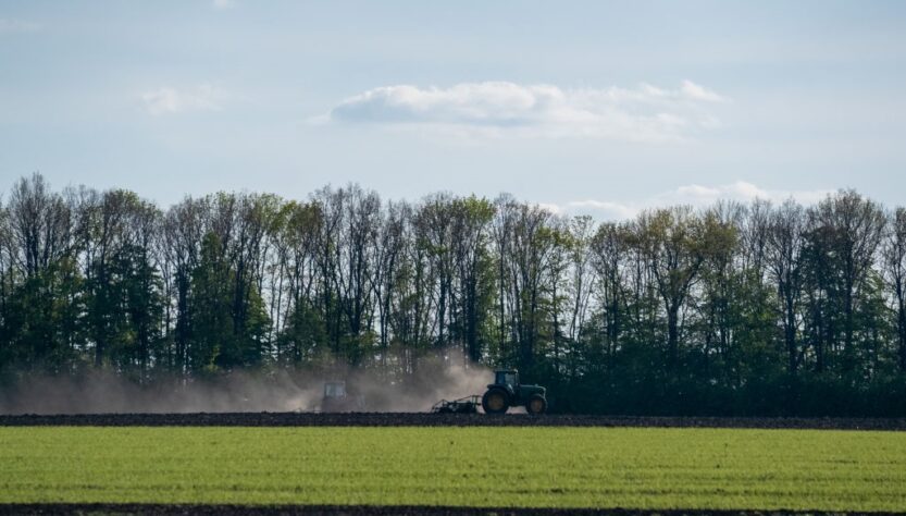 Новини бізнесу - В Україні стартувала сівба гречки