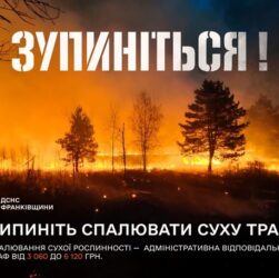 Новини України - В Україні зафіксували майже 23 тисячі пожеж в екосистемах