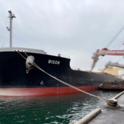 Новини бізнесу - З США прибув перший корабель з металургійним вугіллям для Метінвесту