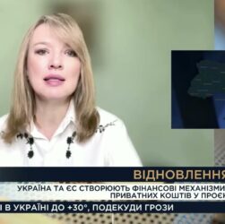 Відбудова України: Як залучатимуть приватні інвестиції з ЄС | Олена Шуляк