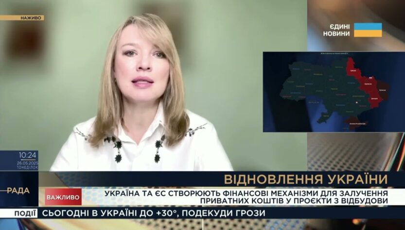 Відбудова України: Як залучатимуть приватні інвестиції з ЄС | Олена Шуляк