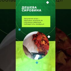 Навігатор із формування пропозиції на продукцію чорної львинки та її реалізації на ринку