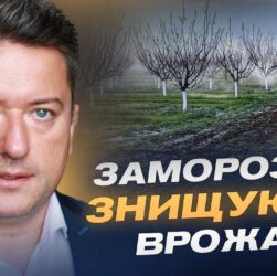Заморозки ЗНИЩУЮТЬ врожай: що буде з цінами на фрукти та зерно? | Дмитро Соломчук