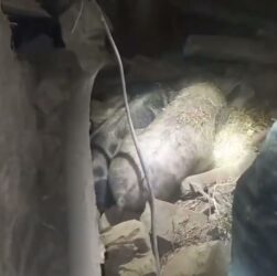 Ворожа атака по житловому сектору Сумщини призвела до загибелі та травмування мирного населення