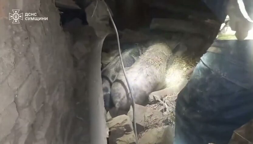 Ворожа атака по житловому сектору Сумщини призвела до загибелі та травмування мирного населення
