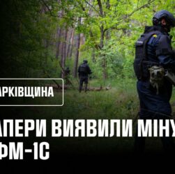 Сапери ДСНС розміновують ліси Ізюмщини: знайдено «пелюстку»