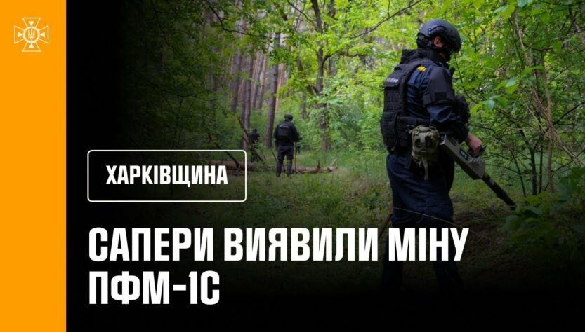 Сапери ДСНС розміновують ліси Ізюмщини: знайдено «пелюстку»