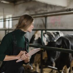 Новини бізнесу - ФАО запускає дворічний план підтримки фермерів України на $150 млн
