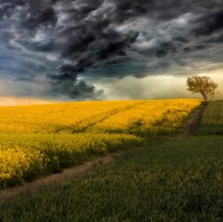 Новини світу - Китай створює "штучні дощі" над посушливими регіонами