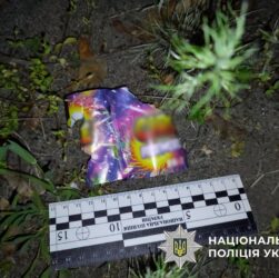 Новини Києва - Киянин вночі запустив салют з вікна квартири