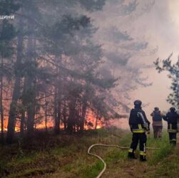Новини України - На Харківщині локалізували масштабну лісову пожежу