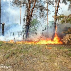 Новини України - На Харківщині триває ліквідація 11 лісових пожеж