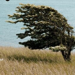 Новини України - На Україну суне негода, рятувальники попереджають про небезпеку