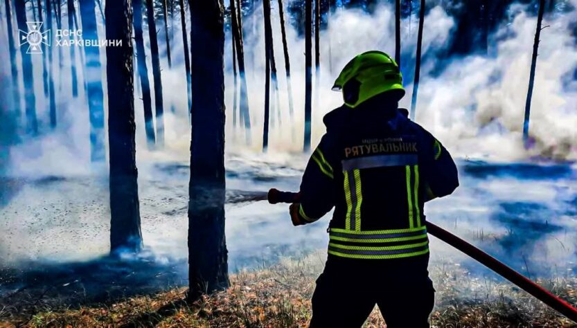 Новини України - Рятувальники ліквідували п’ять лісових пожеж на Харківщині