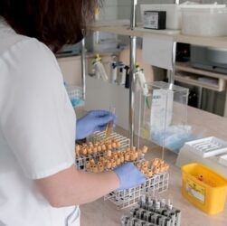 Новини Києва - Спалах гепатиту А у Києві: кількість хворих продовжує зростати