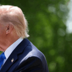 Новини світу - Трамп: Щоб оцінити наміри Києва потрібен час