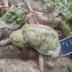 Технології - У джунглях Гватемали знайшли місто мая віком майже 3 тисячі років