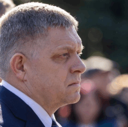 Новини світу - Уряд Фіцо дозволив продавати м’ясо бурого ведмедя