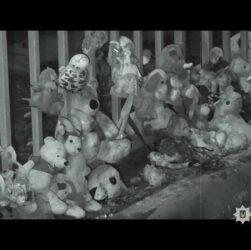 Слідчі поліції завершили розслідування смертельної ДТП у Дніпрі: справи передано до суду