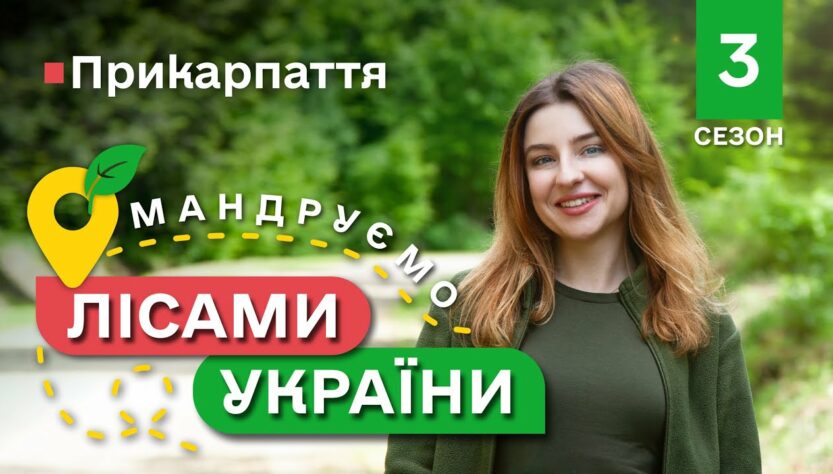Карпатські ГОЛУБЦІ / унікальні локації КАРПАТ / Мандруємо ЛІСАМИ УКРАЇНИ #10 випуск