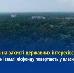 Прокурори на захисті державних інтересів: На Черкащині землі лісфонду повертають у власність держави