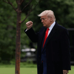Новини світу - Білий дім підтвердив участь Трампа у саміті НАТО