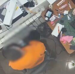 На Кіровоградщині викрили угруповання, які виготовляли та збували підроблені документи, - Нацполіція