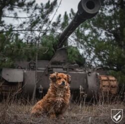 Новини України - Генштаб оцінив ситуацію на фронті