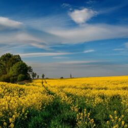 Новини культури - Гороскоп для всіх знаків зодіаку на 12 червня 2025 року