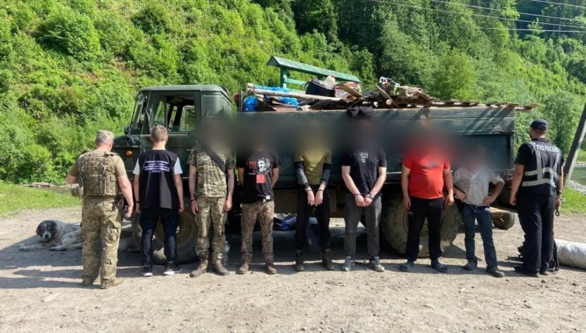 Новини України - Кози, свині й ухилянти - на Закарпатті викрили схему перевізників