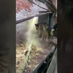 кадри порятунку 2 носиків після російського обстрілу