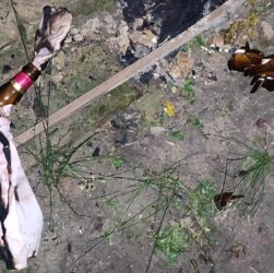 Новини України - На Київщині чоловік кинув коктейль Молотова в будинок односельця