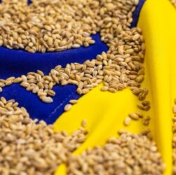 Новини бізнесу - Став відомий найбільший імпортер агропродукції України серед країн ЄС